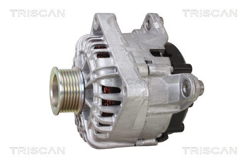 Alternateur Triscan A/S 8310 24035