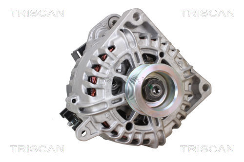 Alternateur Triscan A/S 8310 24035
