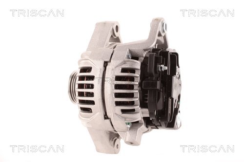 Alternateur Triscan A/S 8310 24037