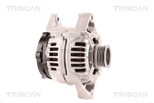 Alternateur Triscan A/S 8310 24037