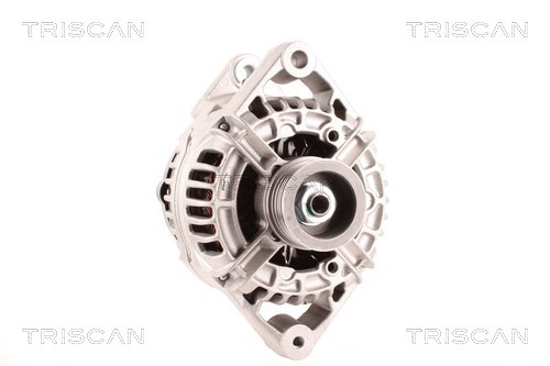 Alternateur Triscan A/S 8310 24037