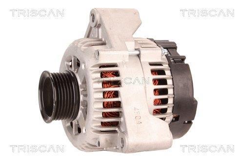 Alternateur Triscan A/S 8310 25008