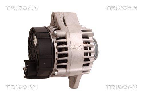 Alternateur Triscan A/S 8310 25010