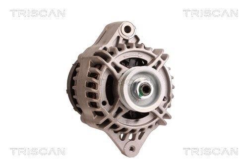 Alternateur Triscan A/S 8310 25010
