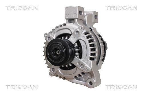 Alternateur Triscan A/S 8310 25010