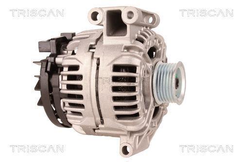 Alternateur Triscan A/S 8310 25011