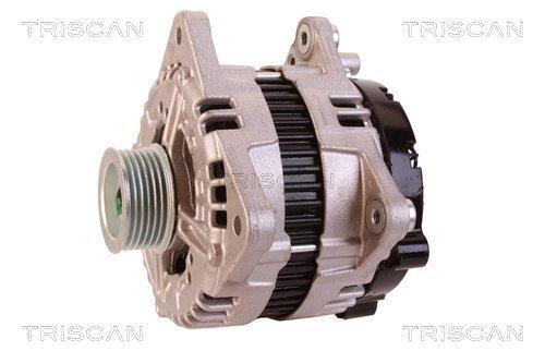 Alternateur Triscan A/S 8310 25019