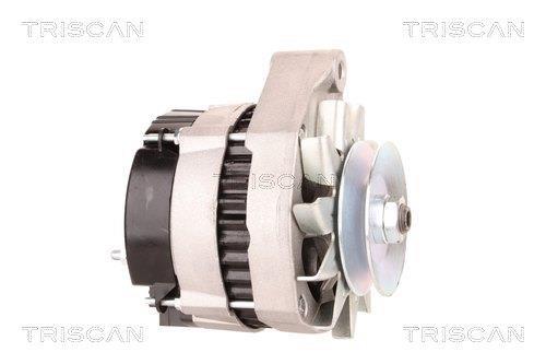 Alternateur Triscan A/S 8310 25021