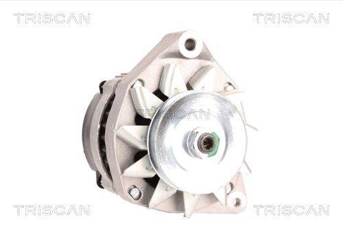 Alternateur Triscan A/S 8310 25021