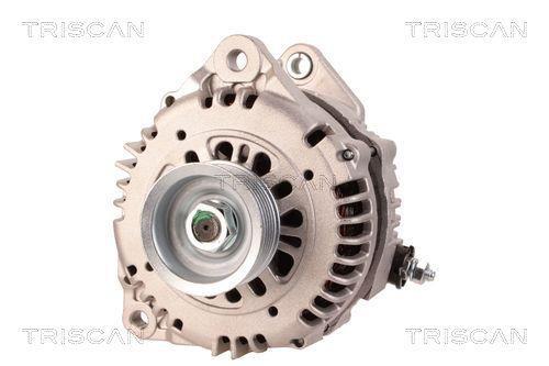 Alternateur Triscan A/S 8310 25021
