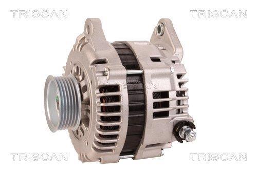 Alternateur Triscan A/S 8310 25021
