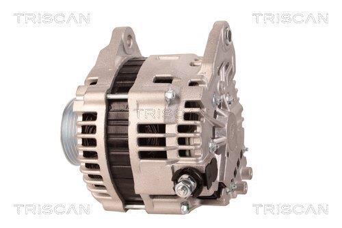 Alternateur Triscan A/S 8310 25021