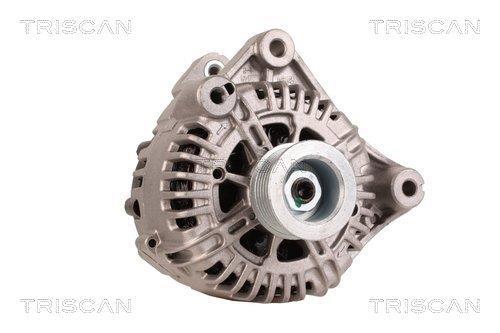 Alternateur Triscan A/S 8310 25022