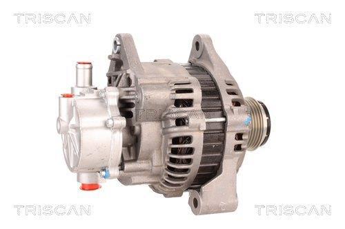 Alternateur Triscan A/S 8310 25023
