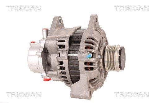 Alternateur Triscan A/S 8310 25023