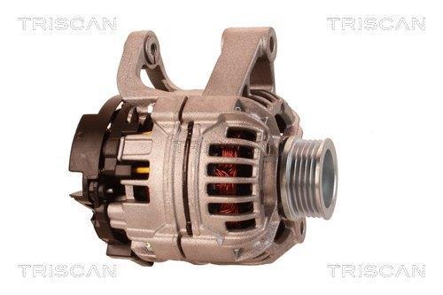 Alternateur Triscan A/S 8310 25028