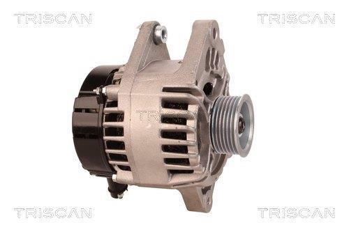 Alternateur Triscan A/S 8310 25029