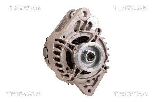 Alternateur Triscan A/S 8310 25029