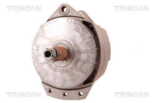 Alternateur Triscan A/S 8310 25029