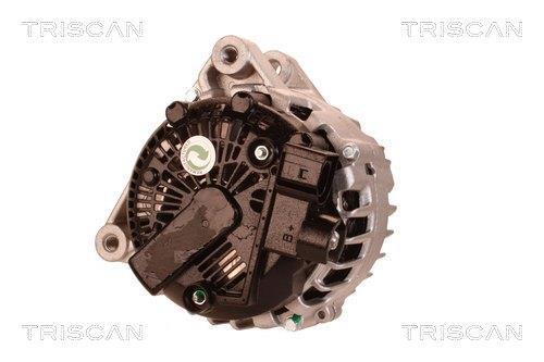 Alternateur Triscan A/S 8310 25030