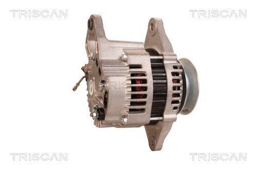 Alternateur Triscan A/S 8310 25031