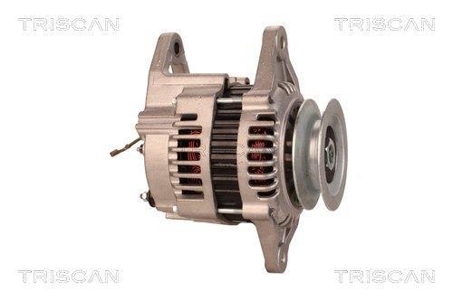 Alternateur Triscan A/S 8310 25031