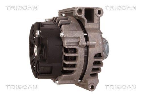 Alternateur Triscan A/S 8310 27013