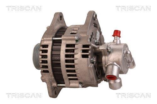 Alternateur Triscan A/S 8310 28004