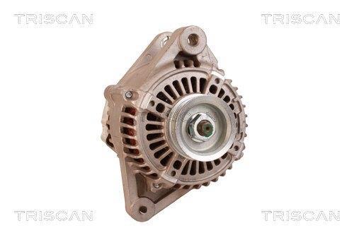 Alternateur Triscan A/S 8310 28005