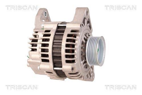 Alternateur Triscan A/S 8310 28012