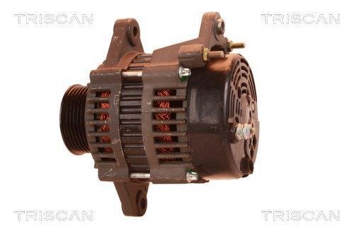 Alternateur Triscan A/S 8310 28012