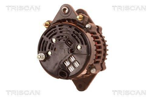 Alternateur Triscan A/S 8310 28013