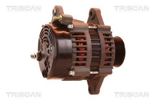 Alternateur Triscan A/S 8310 28013