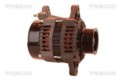 Alternateur Triscan A/S 8310 28013