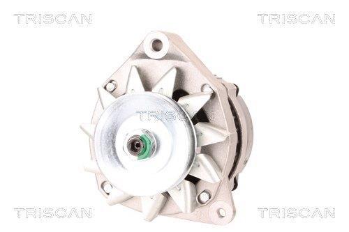 Alternateur Triscan A/S 8310 28013