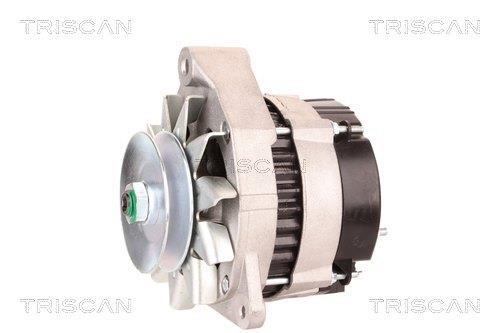 Alternateur Triscan A/S 8310 28013