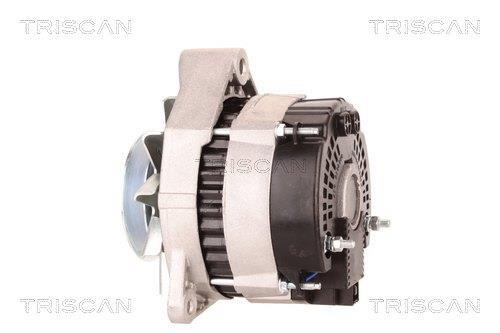 Alternateur Triscan A/S 8310 28013