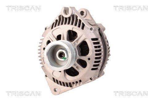 Alternateur Triscan A/S 8310 29001