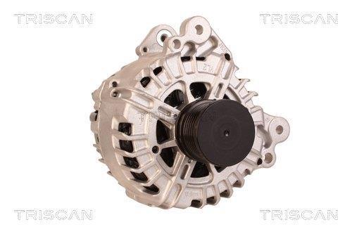 Alternateur Triscan A/S 8310 29002