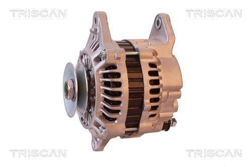 Alternateur Triscan A/S 8310 29002