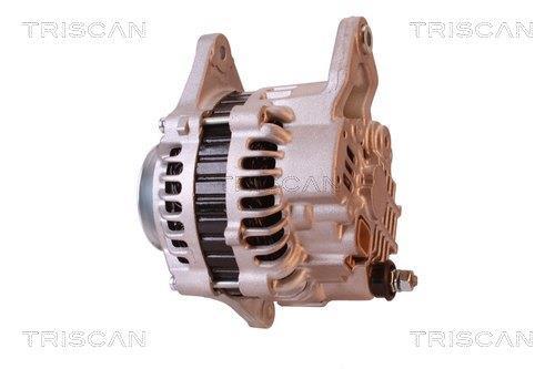 Alternateur Triscan A/S 8310 29002