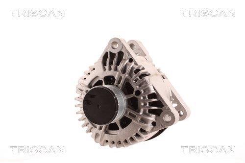 Alternateur Triscan A/S 8310 29003
