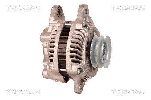 Alternateur Triscan A/S 8310 29010