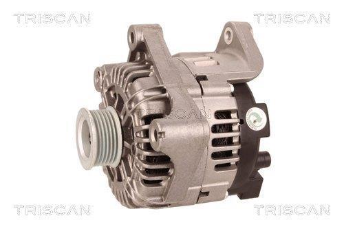 Alternateur Triscan A/S 8310 29010