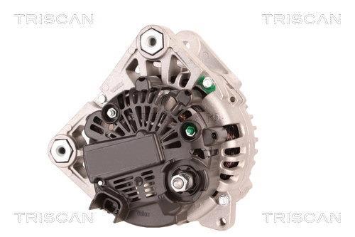 Alternateur Triscan A/S 8310 29014