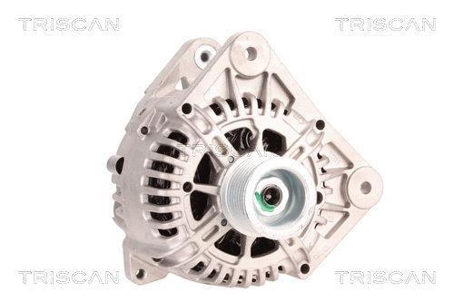 Alternateur Triscan A/S 8310 29014