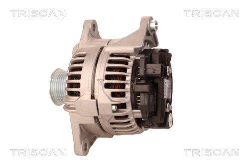 Alternateur Triscan A/S 8310 29014