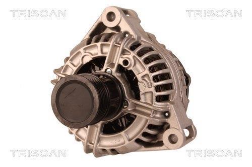 Alternateur Triscan A/S 8310 29016