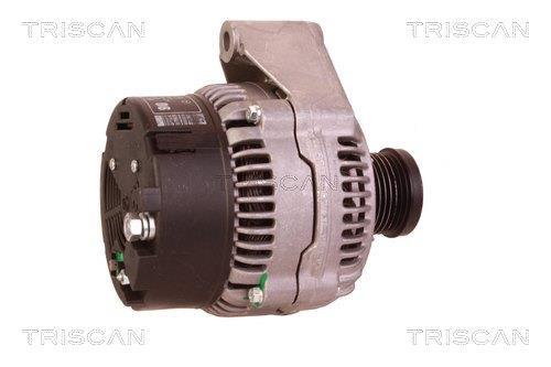 Alternateur Triscan A/S 8310 29022