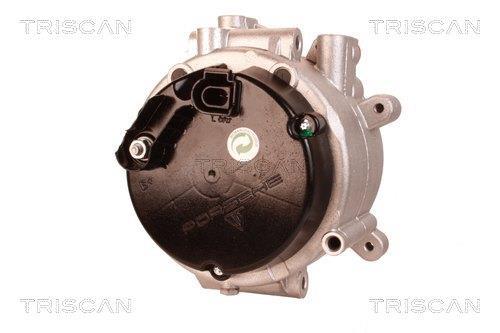 Alternateur Triscan A/S 8310 29028
